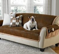 Der Sofa Bezug als Schutz und Dekoration