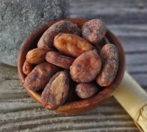 Kakaobutter für ein gesundes Leben und besseres Aussehen