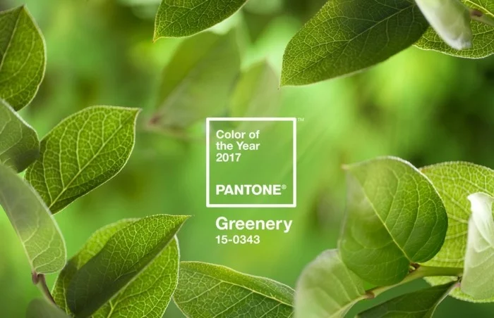 wohntrends 2017 wandfarbe farbtendenzen pantone greenery