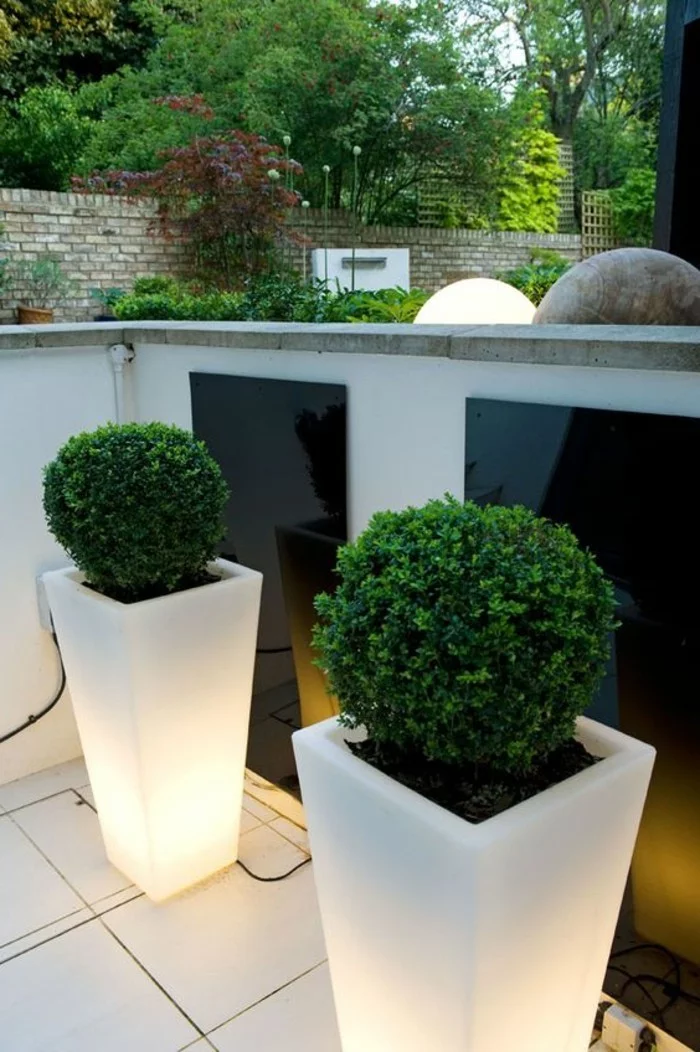 kabelgebundene beleuchtete Pflanzkübel mit immergrünen Gartenpflanzen