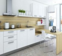 Kleine Küche einrichten – 44 Praktische Ideen für Individualisierung des kleines Raumes