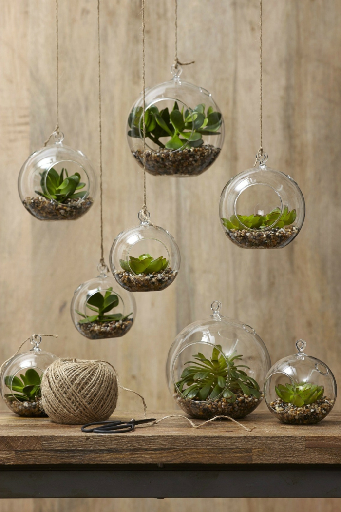 sukkulenten zimmerpflanzen glas terrarium deko