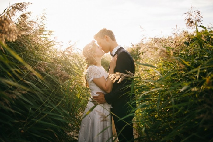 braut und bräutigam küssen sich im maisfeld