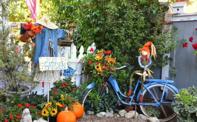 Ratgeber | - Seite 36 von 47