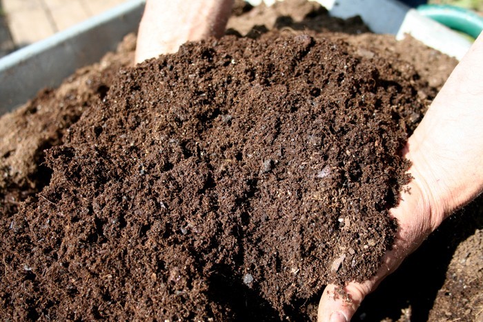 kompost anlegen bio dünger
