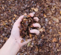 Selbst den Kompost anlegen – So spart man Geld und erhöht seine Lebensqualität