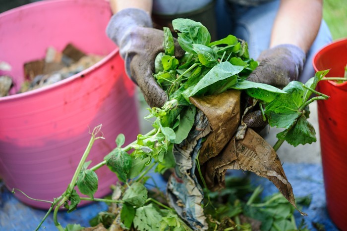 kompost anlegen biomüll küche spinat reste