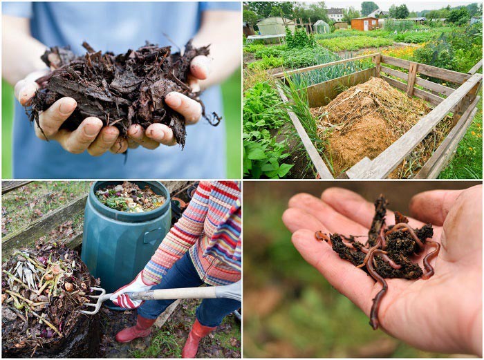 kompost anlegen biomüll schritte zum dünger