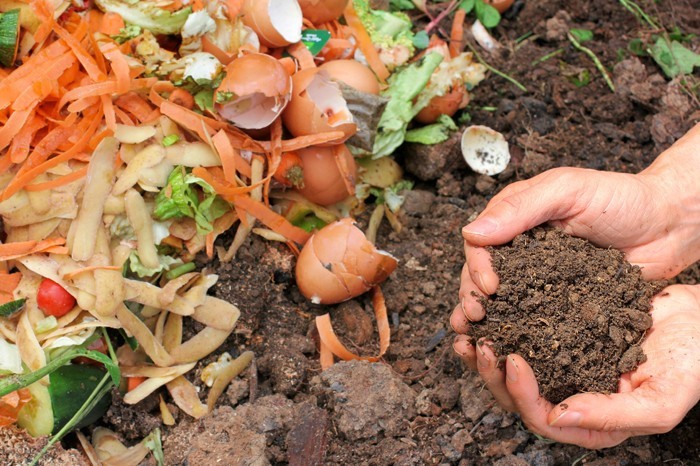 kompost anlegen biomüll