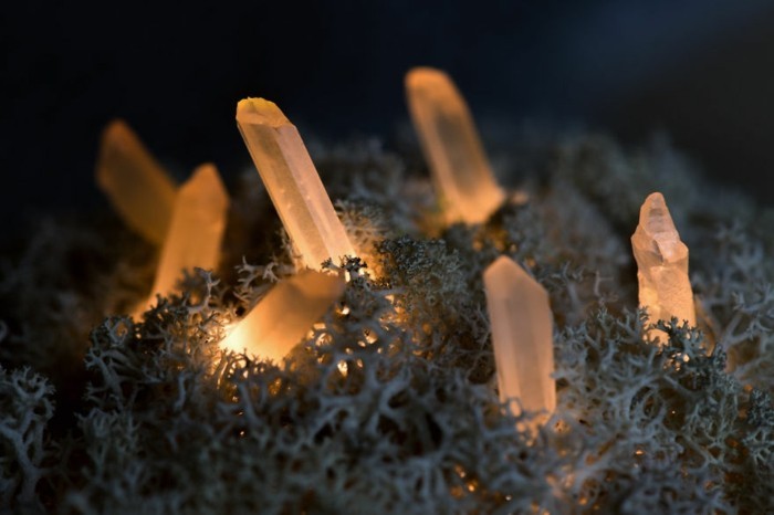 moderne leuchten aus kristallen und moos kreieren