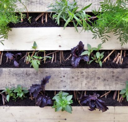 Vertikaler Garten Anleitung - noch ein DIY Projekt aus Paletten
