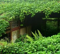Schöne Reiseziele: Ein verlassenes Dorf in China beeindruckt durch seine grüne Architektur