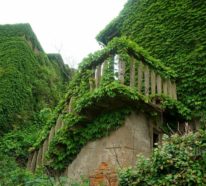 Schöne Reiseziele: Ein verlassenes Dorf in China beeindruckt durch seine grüne Architektur