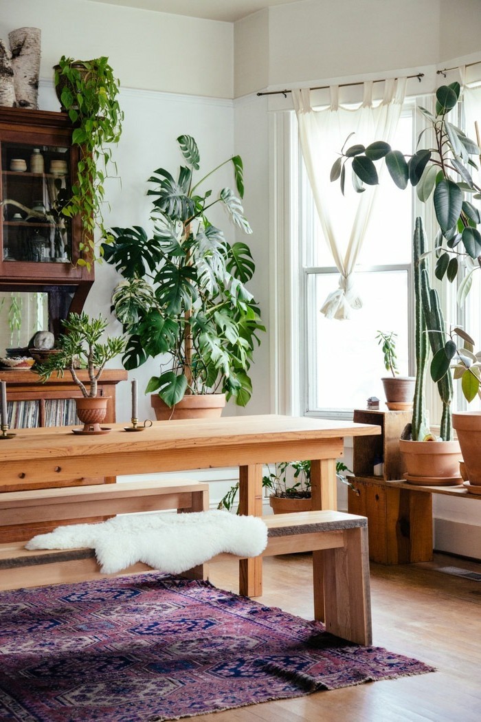 einrichtungsideen wohnideen wohnzimmer lila teppich pflanzen