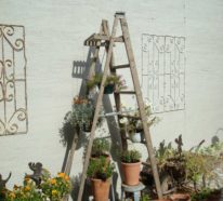Do it Yourself Ideen für die Blumentreppe im Garten – Schritt für Schritt die Pflanzentreppe selber bauen