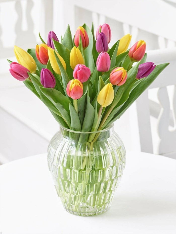 glasvase fuer schnittblumen laenger frisch halten tulpen pflege