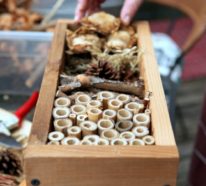 Insektenhotel selber bauen – Ausführliche Bauanleitung für umweltbewusste Hobbygärtner!