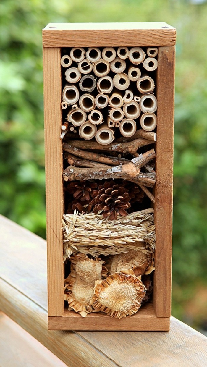 Insektenhotel selber bauen - Ausführliche Bauanleitung für