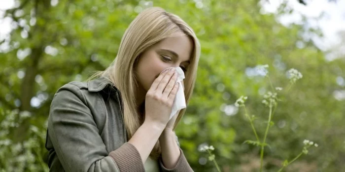 laufende nase im fruehling pollenallergie symptome