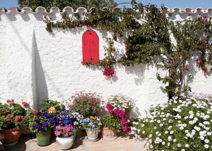 mediteraner Garten mit Topfpflanzen an einer weißen Wand gelehnt