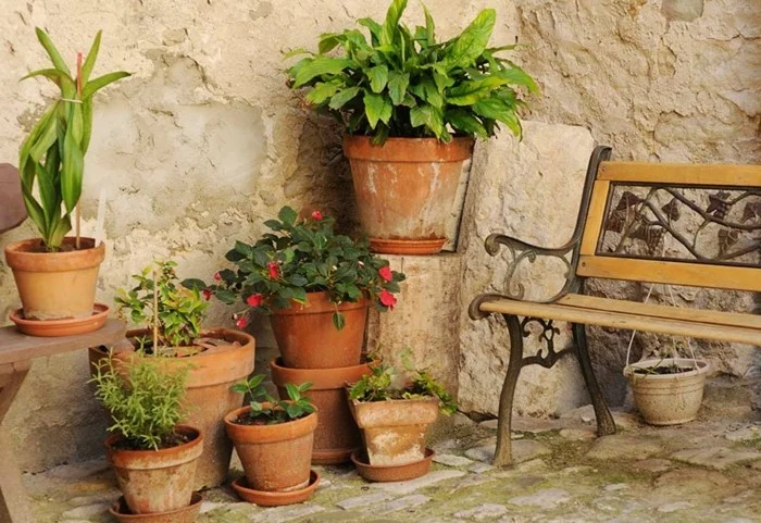 mediterrane Gartengestaltung mit Kübeln aus Terrakotta