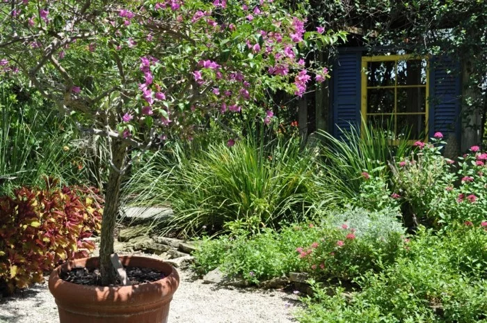 mediterrane Gartengestaltung mit Sträuchern und Baum im Pflanzkübel