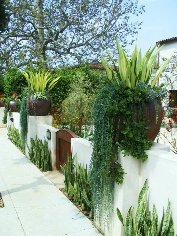 weiße Betonmauer, dekoriert mit hängenden Pflanzen und Sukkulenten