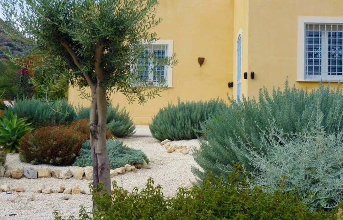 mediterraner Garten mit Kies und grünen Sträuchern