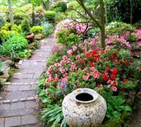 Schöne Gärten – Praktische Tipps und Inspiration in 110 Bildern