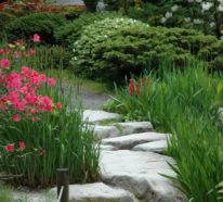 Schöne Gärten – Praktische Tipps und Inspiration in 110 Bildern