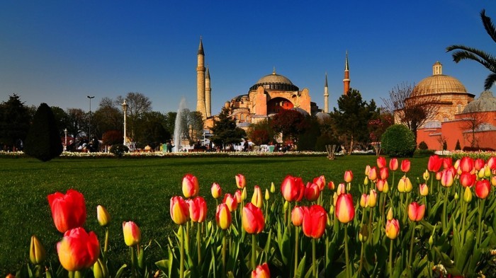 tulpenfest in istanbul besuchen