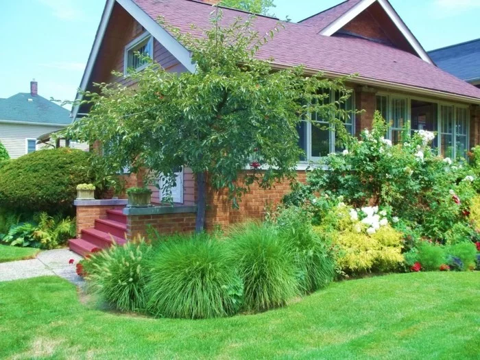 gartengestaltung ideen kleinen garten mit pflanzen dekorieren