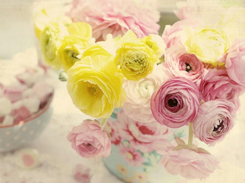 gelbe rosa ranunkel frühlingsblumen vase shabby chic stil
