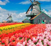 Kurzreise Amsterdam – die niederländische Hauptstadt hat viel zu bieten