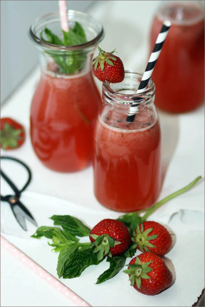 limonade selber machen sommer rezepte erdbeer rhabarber minze
