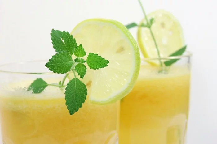 limonade selber machen sommer rezepte erfrischend