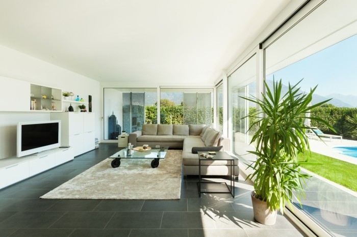 modernes wohnen geräumiges wohnzimmer mit beigem teppich und glastisch
