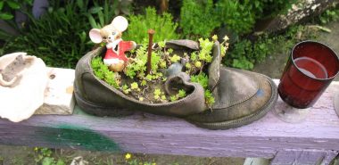 Pflanztopf aus altem Schuh