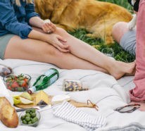 11 Picknick Ideen, Anregungen und Rezepte