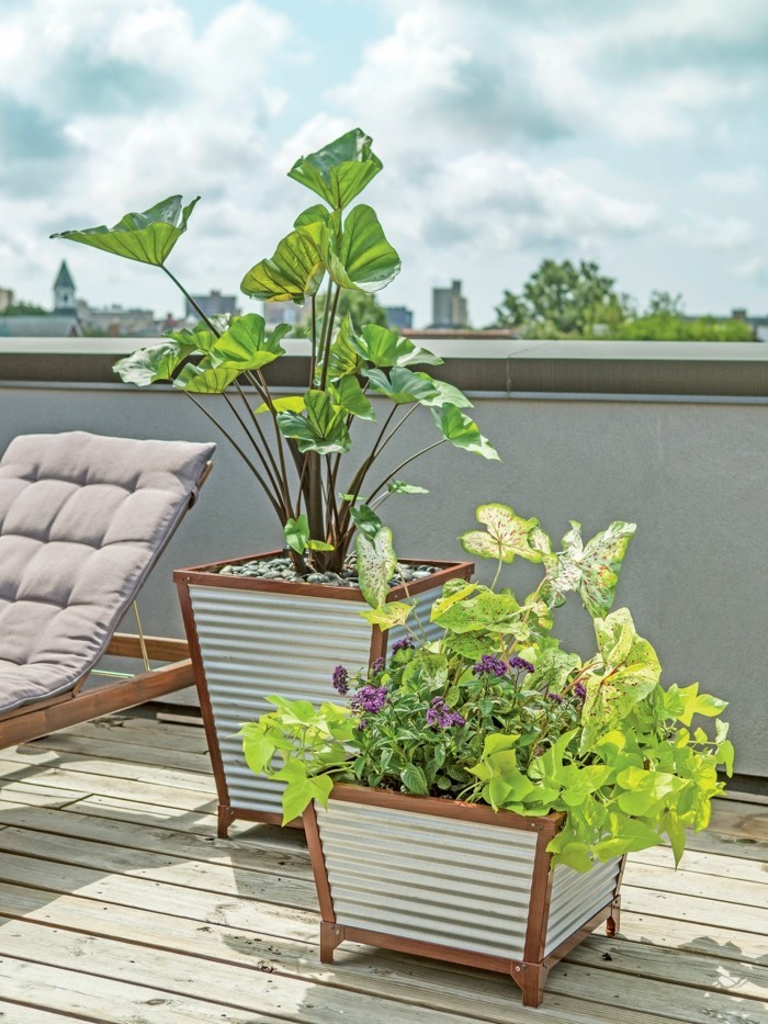 sichtschutz pflanzkübel terrasse gestalten und die privatsphäre schützen