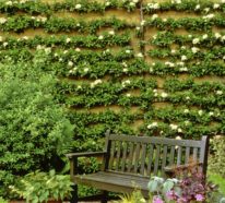 Spalier – Rosenbögen und weitere Blumenstützen sind optische Highlights im Garten