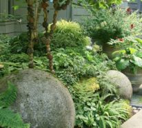 Steingarten anlegen und eine naturgemäße und attraktive Gartengestaltung genießen