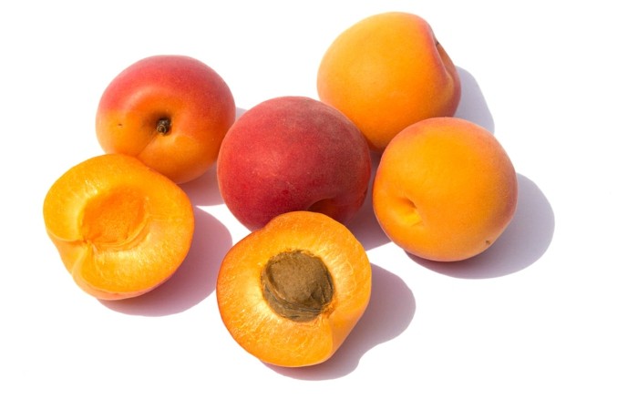 aprikosenkerne