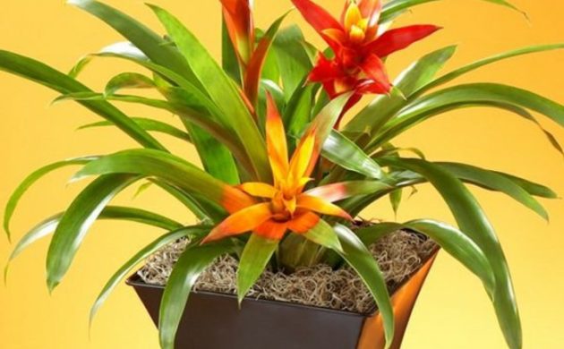 Gartengestaltung Ideen - Garten und Landschaftsbau - Freshideen 34