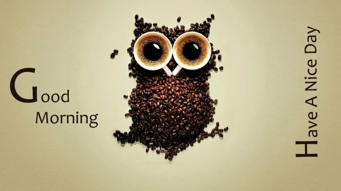 eule aus kaffeebohnen kaffeetassen good morning morgengruss