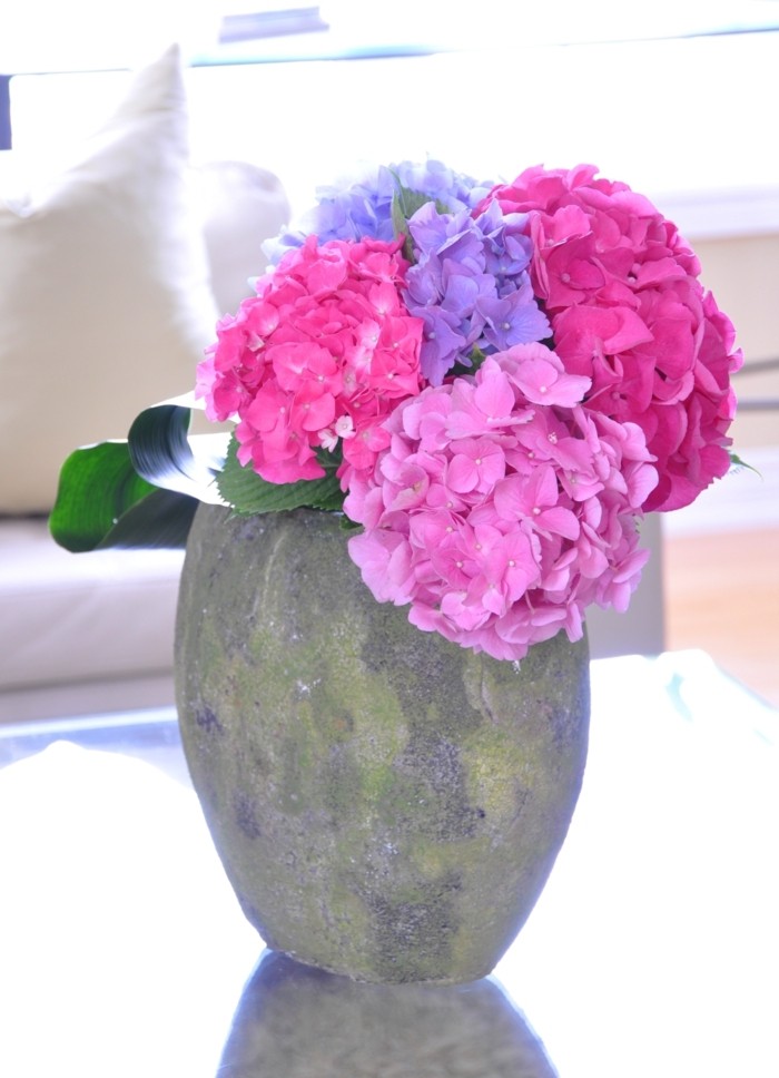 gartenpflanzen hortensien in vase dekorieren das zuhause