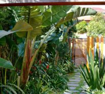 Gartenpumpen sichern Komfort im modernen Garten