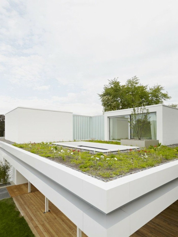 wohnen moderner bungalow mit garten auf den dach
