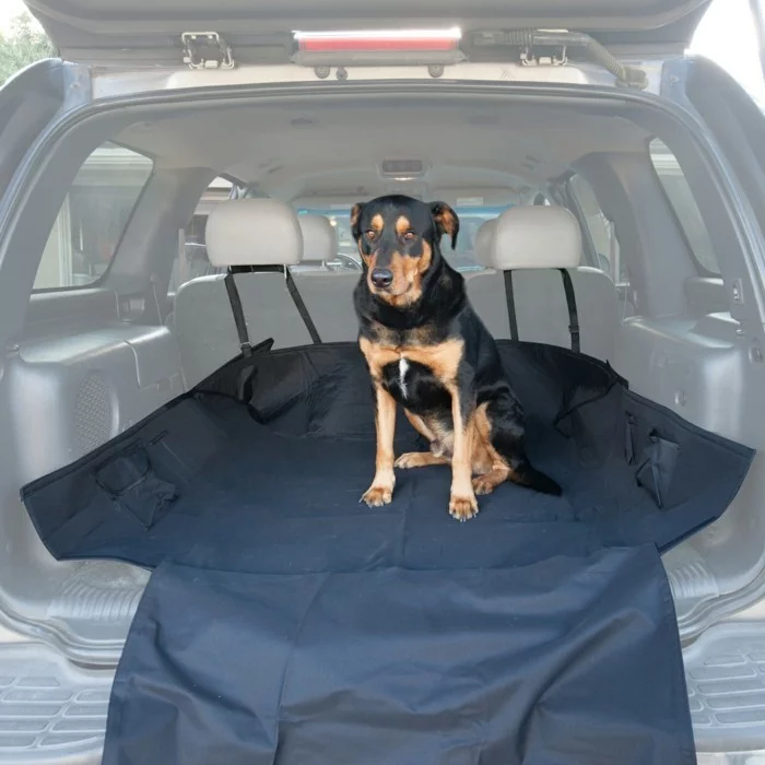 kofferraumschutz reisen urlaub mit hund hundezubehör
