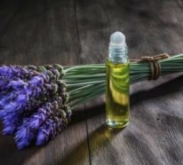 Lavendel im Topf – Pflegetipps und wichtige Fakten